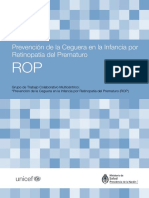 ROP.pdf