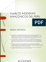 Pueblos Indigenas Amazonicos Del Peru