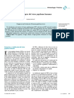 papiloma virus hart06.pdf