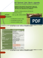 Formulacon y Evaluacion de Proyectos Ppt