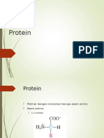 Protein