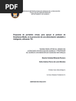 Tesina Propuesta de Portafolio Virtual Para Apoyar Al Profesor de Enseñanza Media en La Promoción de Una Alimentación Saludable e Intelgente Utilizando TIC.