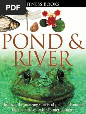 Pond River Pdf Pdf