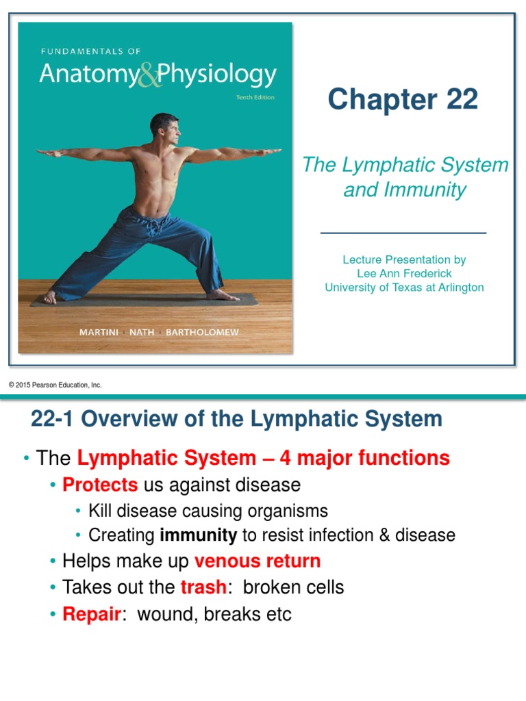 CH 22 Lymphatics F 2017 | PDF | Lymphatic System | Lymph Node