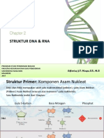 DNA dan RNA Struktur