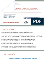 Medula Espinal PDF