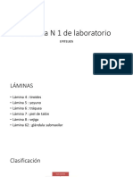 Tipos de epitelio en láminas histológicas