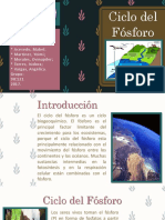 Ciclo del Fósforo.pptx