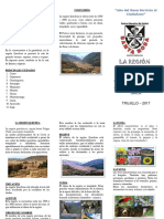 Actividades primarias región Quechua Perú