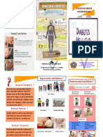 Leaflet DM PDF