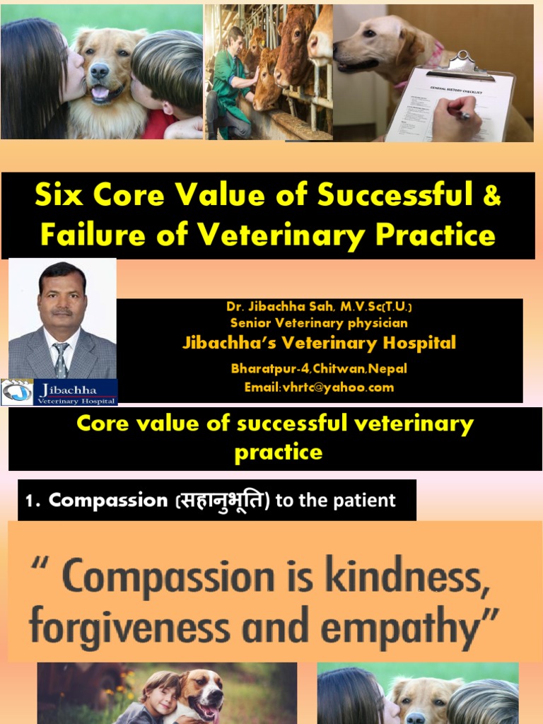 Six Core Value of Successful& Failure of Veterinary Practice by DR ...