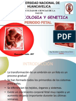 4.periodo Fetal