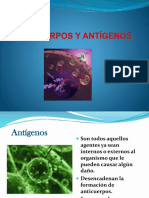 3 Anticuerpos y Antigenos