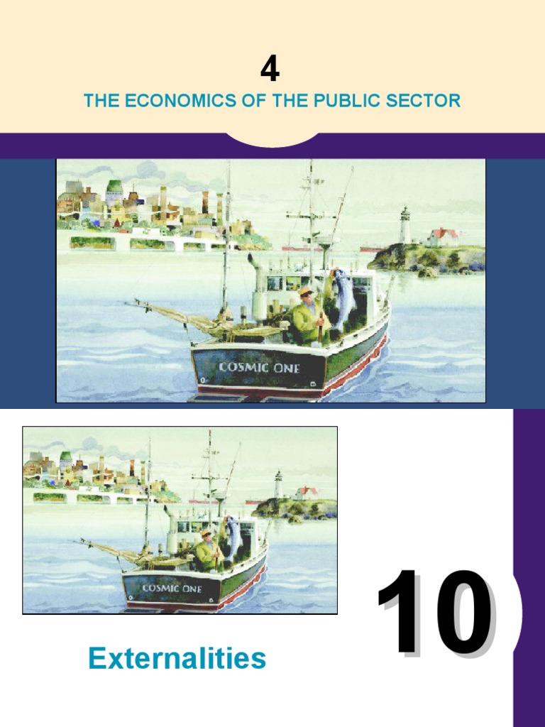 The Economics Of The Public Sector Pdf Externality Economic