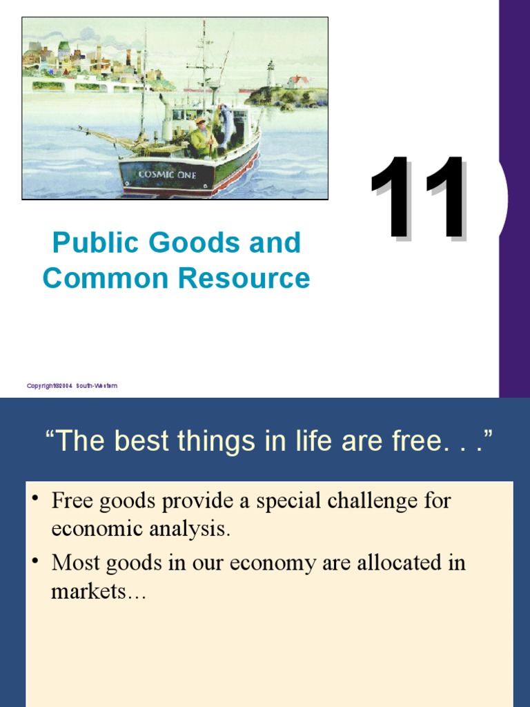 Public Goods and Common Resource | PDF | Market (Economics) | Copyright