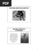 Aula Sistema Nervoso Autonomo
