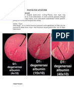 Patologi Anatomi