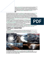 REDUCCION DE DESASTRES.docx