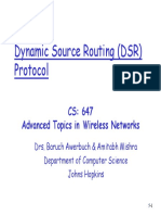 dsr.pdf