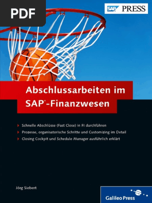 Ebook Abschlussarbeiten Im Sap Finanzwesen