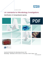 Identification of Campylobacter Species