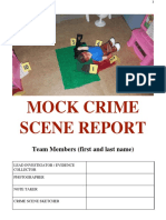 Mock Crime Scene Report 2017