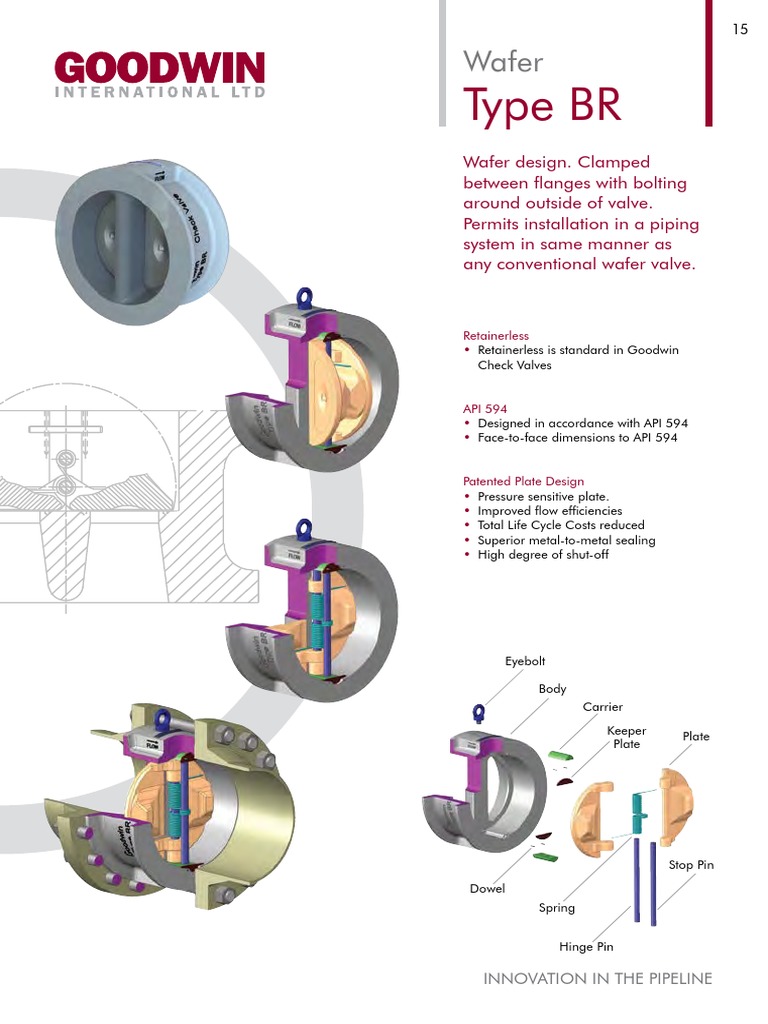 Retainerless Wafer Check Valves Guide | PDF | Plumbing | Hydraulic ...