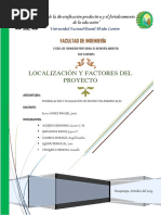 Localizacion y Tamaño Del Proyecto- Informe Final