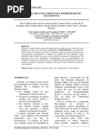 Chorume Impactos Ambientais e Possibilidades de Tratamento