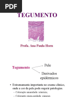 Aula 8 Tegumento MED 2017