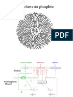 Glicogenio 28092009