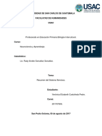 Resumen Sobre El Sistema Nervioso