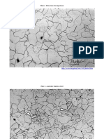 Plate 1. E04 Armco Iron Specimen