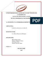 Liliana_Hipolo_Enfermeria_Informe_I.pdf