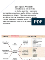 Anabolism o