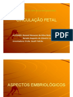 circulacaofetal.pdf