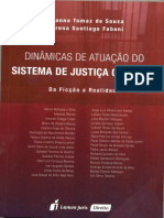 Adrian Silva - Cárcere e Direitos Humanos (ou o crepúsculo dos ídolos).pdf