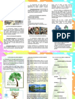 El Dia Mundial Del Medio Ambiente Triptico