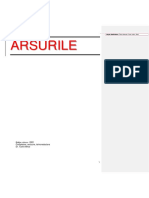 ARSURILE-documentul (Cvasi) Original