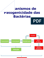 Aula Patogenicidade PDF