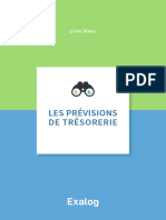 Previsions de Tresorerie Livre Blanc-7