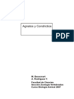 practico_02_agnatha_y_chondrychtia.pdf