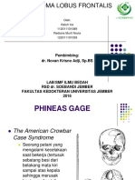 Frontalis Lobes Syndrome