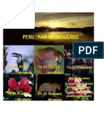 Mega Diversidades Del Perú Imagen