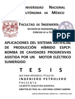 Tesis SAP PDF