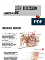 Irrigación e Inervación Miembro Superior