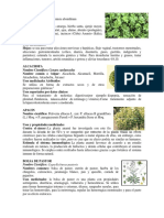 10 Plantas Medicinales