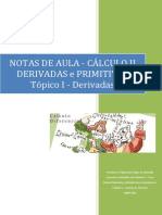Notas de Aula - Derivadas e Primitivas - Cálculo II - UNIFEMM PDF