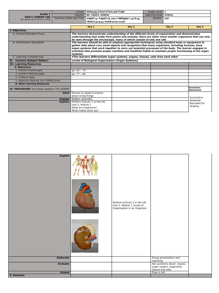 DLL On Levels of Biological Organization 3 Days 2 PDF Organ