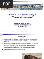 Aula BVD